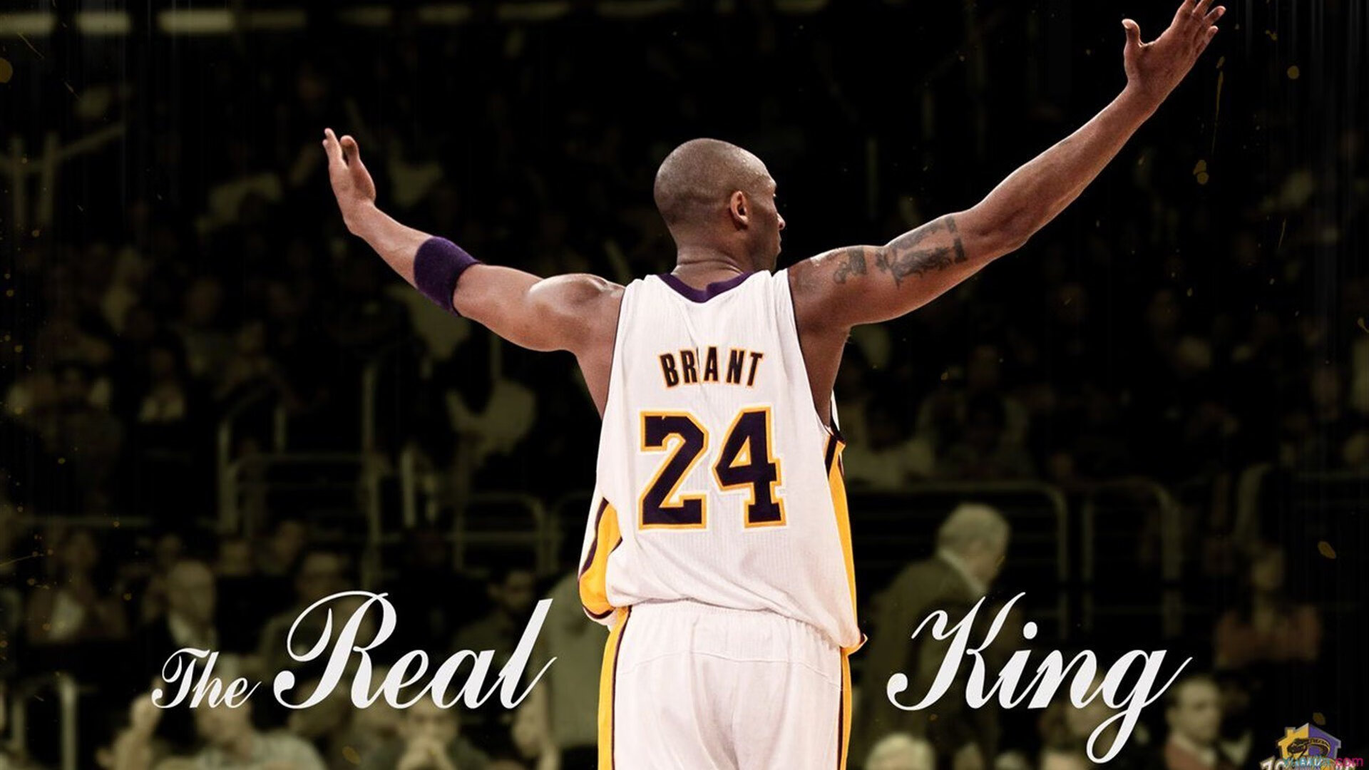 少年梦在篮筐上闪闪发光,少年梦在篮筐上闪闪发光